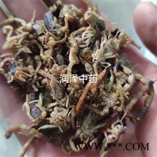 【山西淡盐全虫全蝎】【润泽中药】中药材批发供应 规格齐全 量大从优图3