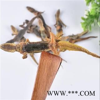 中药材干壁虎 天龙 手工制作 日晒50g图4