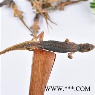 中药材干壁虎 天龙 手工制作 日晒50g图3