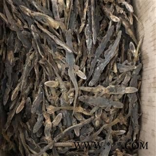 壁虎 天龙 进口壁虎统个 产地 河北省 买好药找娟子图2