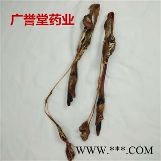 海狗鞭 中14克/条左右 海狗鞭 产地 吉林省 中药材批发 品种齐全图2