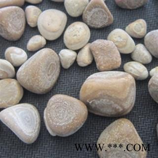 京辉药业正品 马宝 鲊荅、马结石 优质促销各种冷备中草药图2