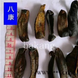 水蛭 02统清水吊杆图3