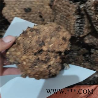 硬蜂房 硬统 产地 广西壮族自治区北海市图3