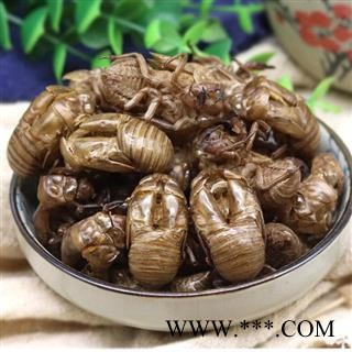 蝉蜕 秦岭金蝉壳 乡亲自捡 无硫无添加原生态500g图3