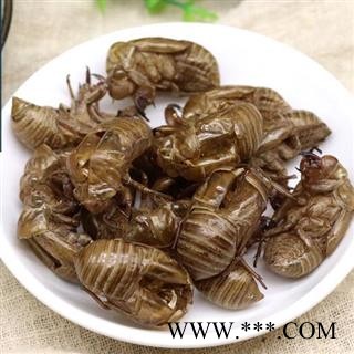 蝉蜕 秦岭金蝉壳 乡亲自捡 无硫无添加原生态500g图4