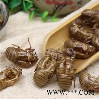 蝉蜕 秦岭金蝉壳 乡亲自捡 无硫无添加原生态500g图2