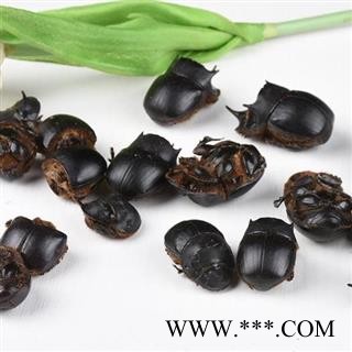 秦岭优质大将军 蜣螂 屎壳郎 手工挑选 干净500g图2