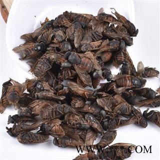 【精选】中药材秦岭地产牛虻日晒无硫500g图4