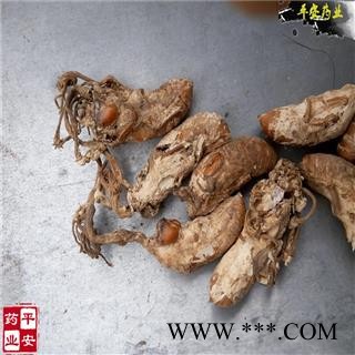 金蝉花 正品饱满 别称-蝉蛹草 蝉茸 冠蝉 胡蝉 唐蜩 大虫草图2