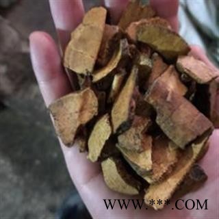 龟甲 大片 产地 福建省图2