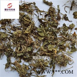 紫花地丁 紫花地丁 地丁 产地山东省 地道药材 干净无杂货图4