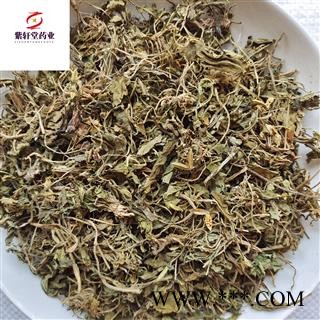 紫花地丁 紫花地丁 地丁 产地山东省 地道药材 干净无杂货图3