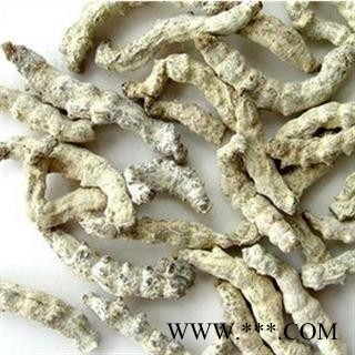 灵吉药业  僵蚕 天虫 白僵蚕 僵蚕选货 产地 广西壮族自治区图3