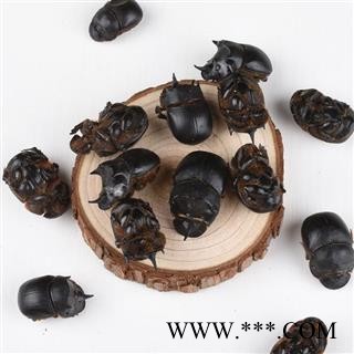 大将军 秦岭优质正品 蜣螂 屎壳郎 手工挑选 干净500g图3