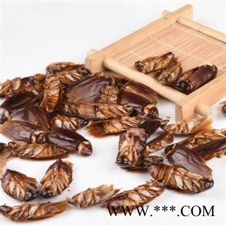 蟑螂 秦岭产 日晒无硫500g图2