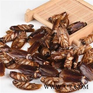 蟑螂 秦岭产 日晒无硫500g图3