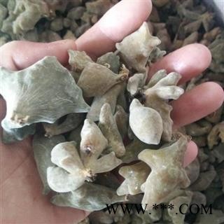 【新货天然】秦岭五倍子百虫仓日晒无硫500g图2