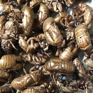 蝉蜕 蝉衣 知了皮 虫蜕 水洗货 产地 河南省新乡市 买好药找娟子图3