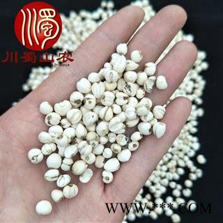 川贝母怀中抱月选货散装四川产地直供松贝母川蜀山农中药材批发图2