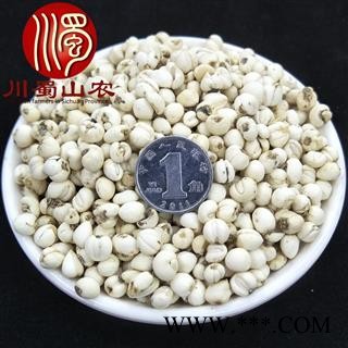 川贝母怀中抱月选货散装四川产地直供松贝母川蜀山农中药材批发图3