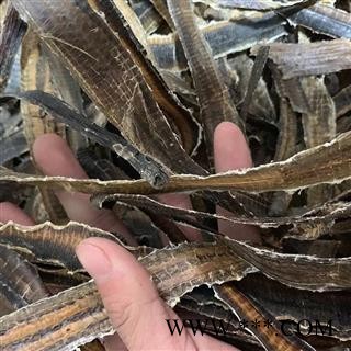 地龙 广地龙全开片 产地 广西壮族自治区图2