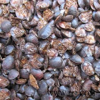 灵吉药业 土鳖虫 土元 地鳖虫、节节虫、土虫、簸箕虫、盖子虫 地道药材 货真价实 批发各种规格中药材 花茶 矿石 野生冷背中药材图2