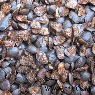 灵吉药业 土鳖虫 土元 地鳖虫、节节虫、土虫、簸箕虫、盖子虫 地道药材 货真价实 批发各种规格中药材 花茶 矿石 野生冷背中药材图3