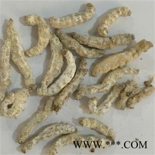 《满198包邮》僵蚕 僵蚕 道地良药 好统货 产地 四川省图2