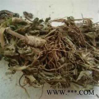 地胆草 丁茄夫 地苦胆 地胆头 苦地胆 正品保证 中药材批发 安品堂图4