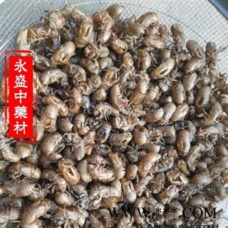 蝉蜕 蝉蜕统货产地直销 产地 河南省南阳市图2