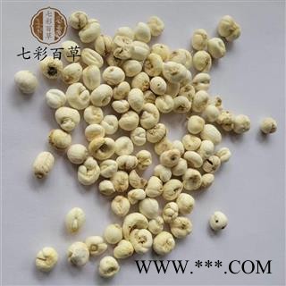 伊贝母 平贝母0.85 贝母 小平贝 产地 吉林省图4