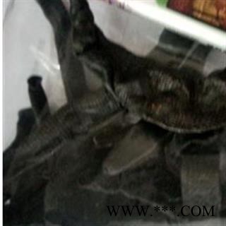 水蛭 清水 产地 江苏省徐州市图2