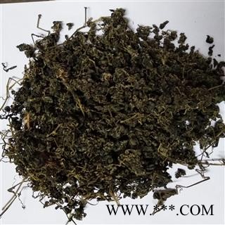 绞股蓝 精品选装绞股蓝茶 产地 福建省图2