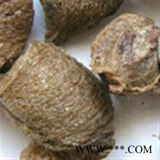 灵吉药业   桑螵蛸   熟大绵 蜱蛸  桑蛸  冒焦 螵蛸  致神 螳螂子  桑上螳螂窠  野狐鼻涕  赖尿郎  刀螂子  老鸹芯脐  螳螂蛋  尿唧唧 流尿狗 猴儿包 螳螂壳图3