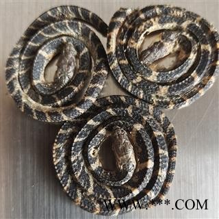 京辉药业 小白花蛇 包正品 养殖1g左右重 别称 百花蛇 胎蛇 金钱白花蛇图3