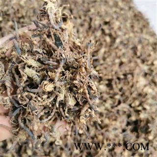 全虫 进口统货 产地 海外图4