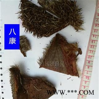 刺猬皮 生01统图2