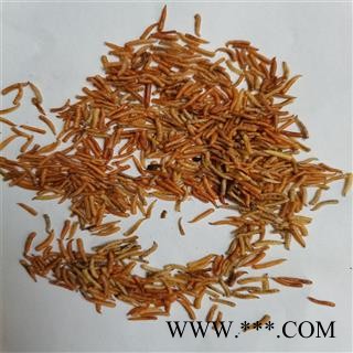 五谷虫 统 产地 山西省晋城市图2