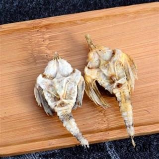 海燕 优质海燕干 10g图4