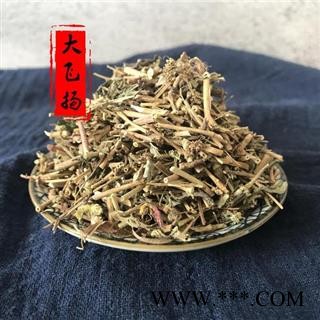 大飞扬草 节节花 大乳汁草正品保证质量7天无理由退货退款 中药材批发 丽丽药业图4