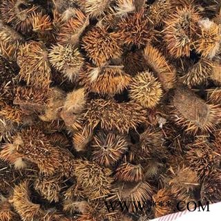 刺猬皮 优质刺猬皮 产地 吉林省 买好药找娟子图2