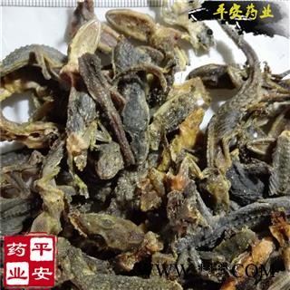 壁虎 正品国产 完整 新货 另有进口货 别称守宫 爬壁虎 爬墙虎 四脚蛇 巴壁虎 蝎虎 天龙 檐蛇 檐龙图2