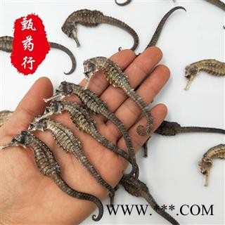 海马 保证无加重海马全清水全干 平均每条1克 一手货源批发 产地广东 甄选药材行 为你真选好药材图3