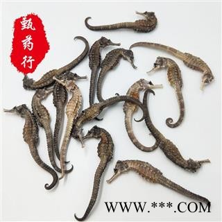 海马 保证无加重海马全清水全干 平均每条1克 一手货源批发 产地广东 甄选药材行 为你真选好药材图2
