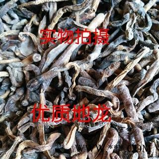 地龙 圆条 没开 产地 河南省商丘市夏邑县图2