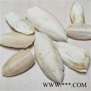 海螵蛸 海螵蛸小选货 产地 福建省图3