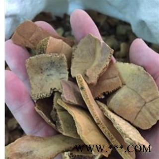 龟甲 统货 产地 山东省图2