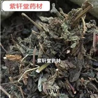 苏叶 紫苏叶  紫苏叶 产地直销发货前过筛干净 产地 山东省图2