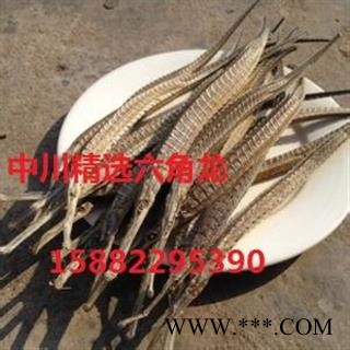 中川精选六角龙   产地进口印尼   库存500可售图1